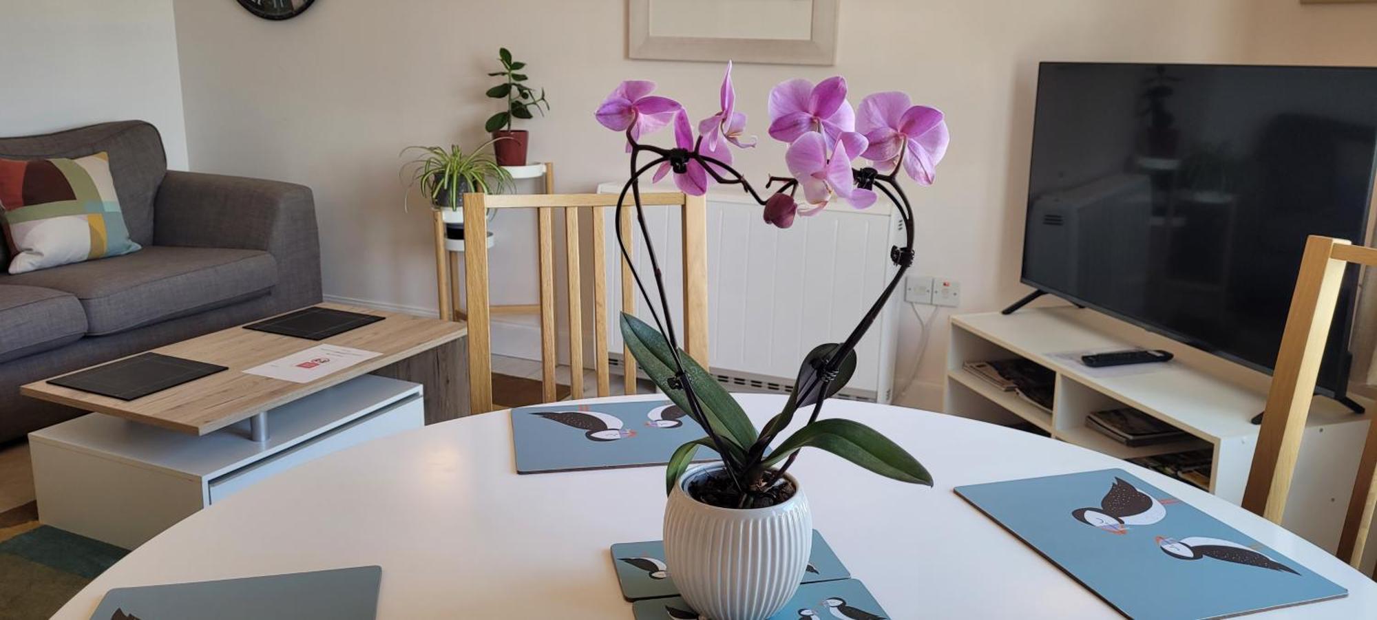Heart Of Inverness-City Apartment Ngoại thất bức ảnh
